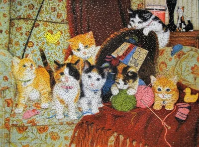 Knitting For Cats