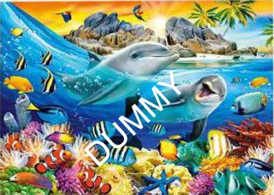 Dolphins in the Tropics