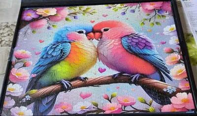 Couple d'oiseaux