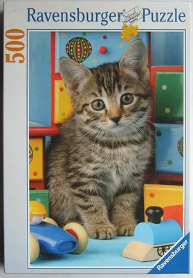 Kitten in the Playroom