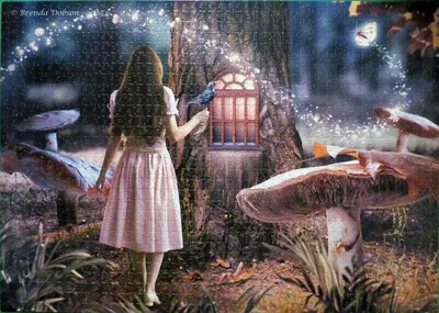 Enchanted Forest