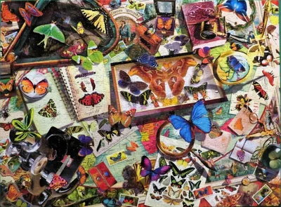 The Butterfly Collector