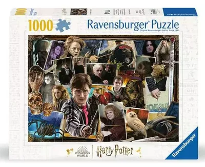 Harry Potter contre Voldemort
