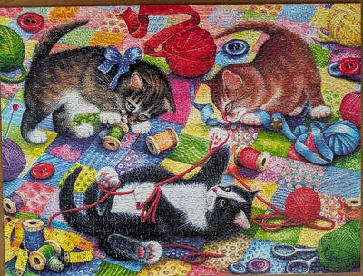 Knitting Kittens