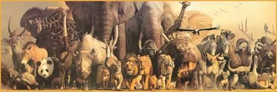 Noah's Ark