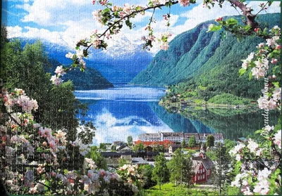Spring Blossom, Hordaland, Norway