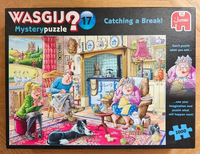 Wasgij Mystery #17 Catching a Break!