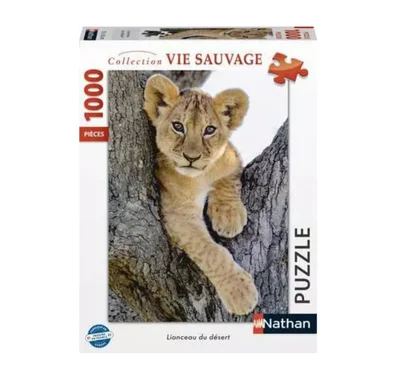 Lionceau du désert
