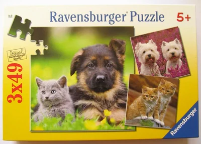 Kittens and Dogs