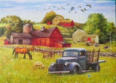 Saturday Afternoon on the Farm