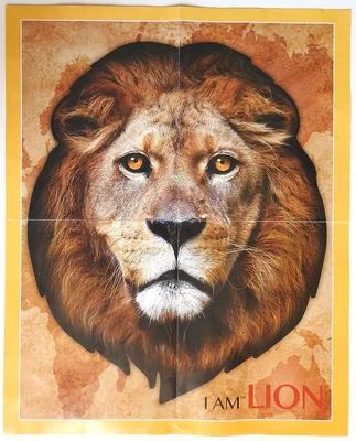 I am Lion