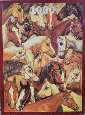 Horses Galore