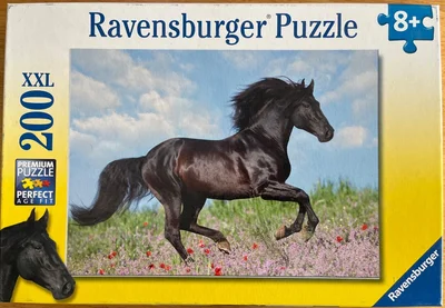 Black Stallion