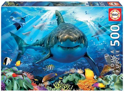 Great White Shark