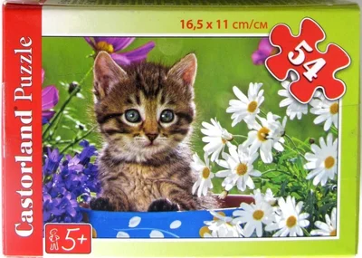 Kitten in Bowl with Flowers