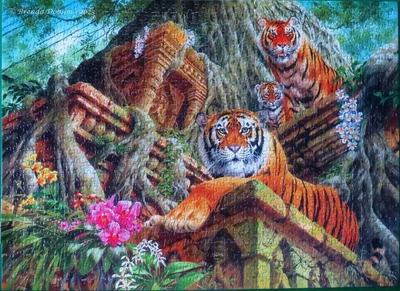 Temple Tigers