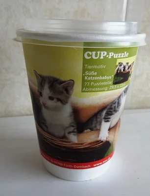 Süsse Katzenbabys