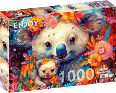 Koala Kuddles