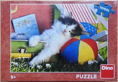 Kitten on vacation