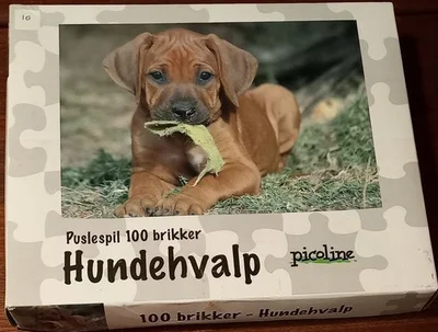 Hundehvalp (puppy)