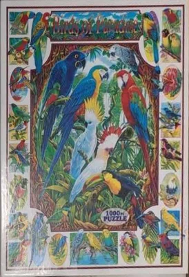 Birds Of Paradise