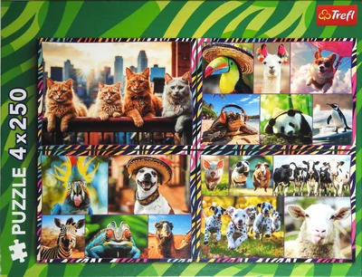 Animals