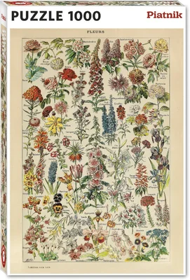 Fleurs