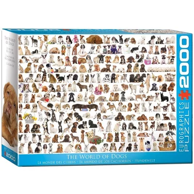 The World of Dogs