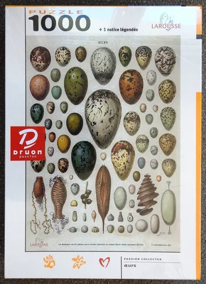 Oeufs