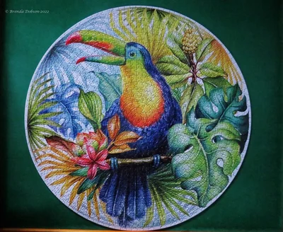 Tropical Toucan