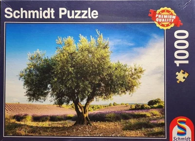 Olive Tree in Provence