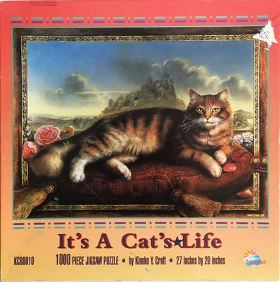 It's a Cat's Life