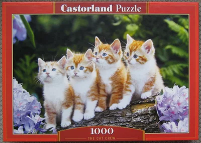 The Cat Crew