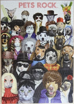 Pets Rock