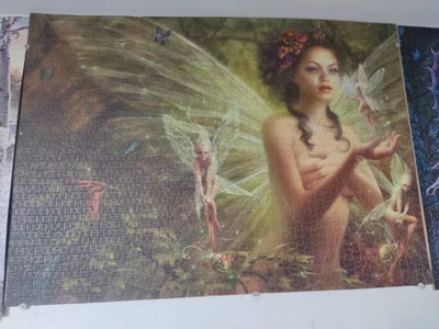 fairies