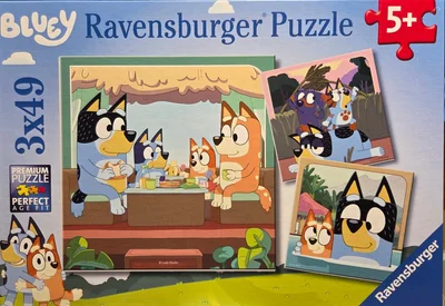 Bluey's Adventures!