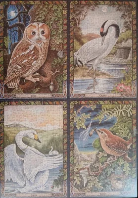 Birds of the Druid Tradition