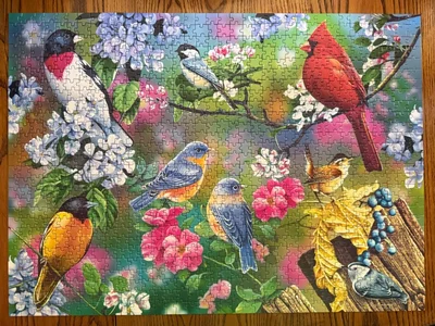 Songbird Collage