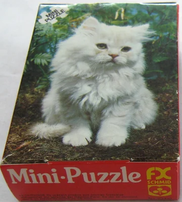 White Kitten