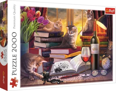 Cat's Evening