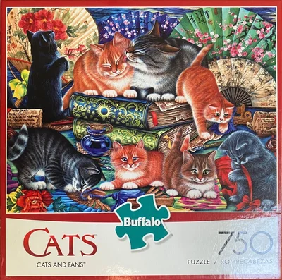 Cats and Fans