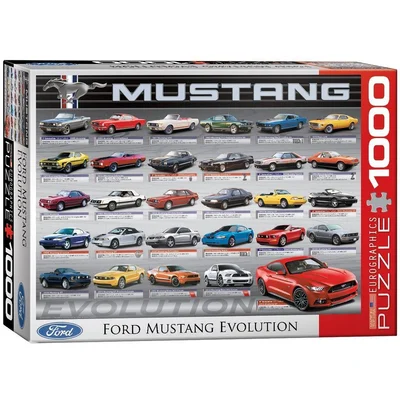 Ford Mustang Evolution