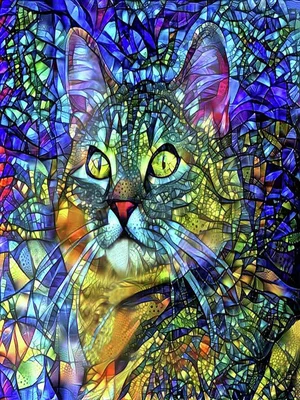 Jake The Tabby Cat