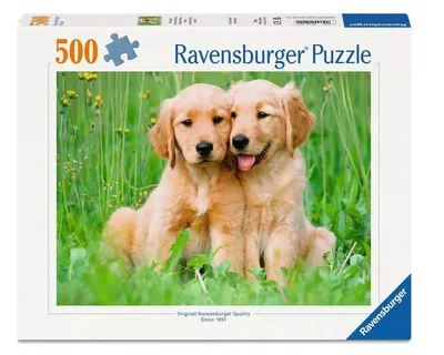 Les frères Golden Retriever