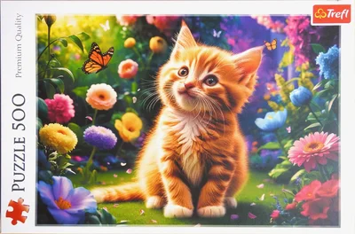 Cute Kitty