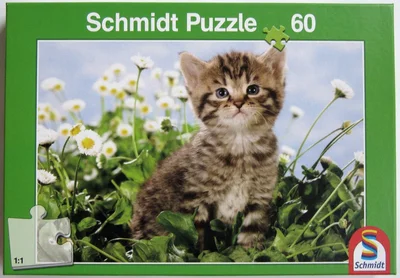 Flowery Kitten
