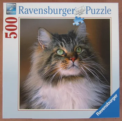 Maine Coon