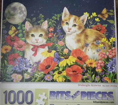 Midnight Kittens