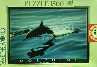 Dolphins