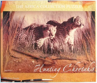 Hunting Cheetahs